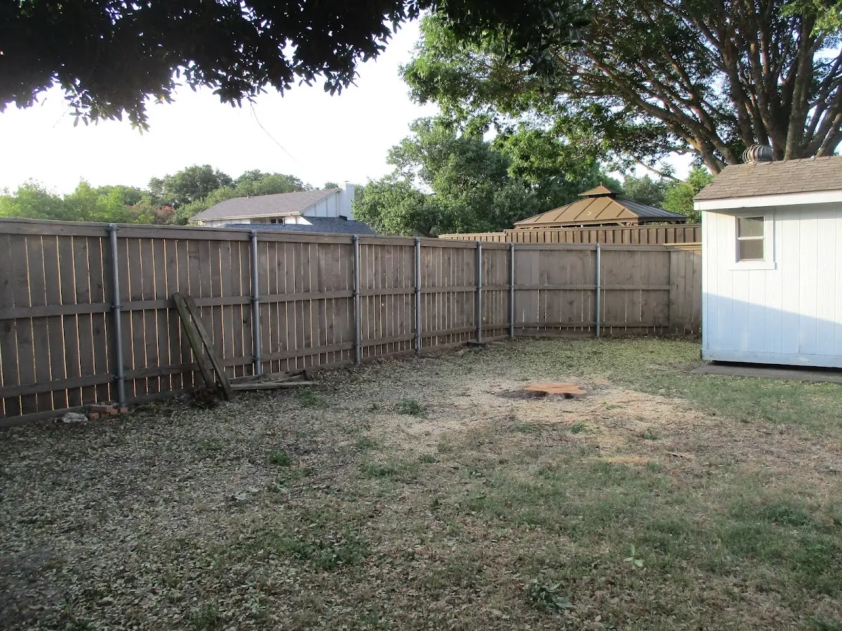 Cleared yard after professional tree removal in Gap Mills