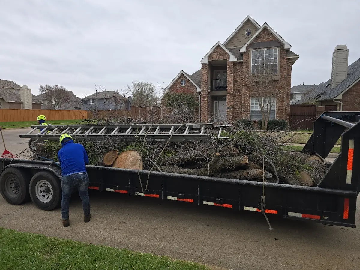 Expert Tree Removal with proper safety equipment in Gap Mills